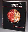 World's Best Anatomical Charts