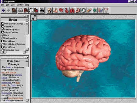Bodyworks 6.0 Screen Shot