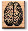 Brain Art Stamps