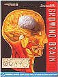 Growing Brain