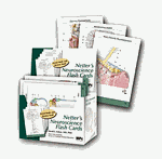 Netter's Neuroscience Flash Cards