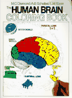 Human Brain Coloring Book - Diamond et al.